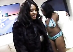 Amazing ebony honeys are deeply blowing white knob and gettin throats full of cream