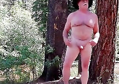 Simscristian05 - update #834 - NUDE WALK IN THE FOREST - SHEER - Sep 26, 2026