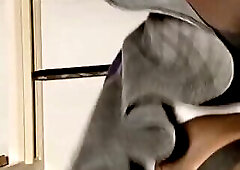 BlueGirl70 Undies Tease