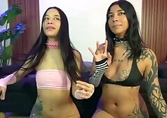 Webcam Amateur Webcam Lesbians Free Web Cams Porn