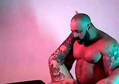 Twobears1cam bears