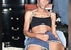 Black TS Freeballs and Jacks Her Large Schlong